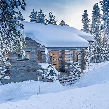 Βίλα Levin Kreivi *